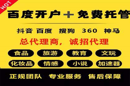 搜索引擎营销（SEM）竞价策略案例